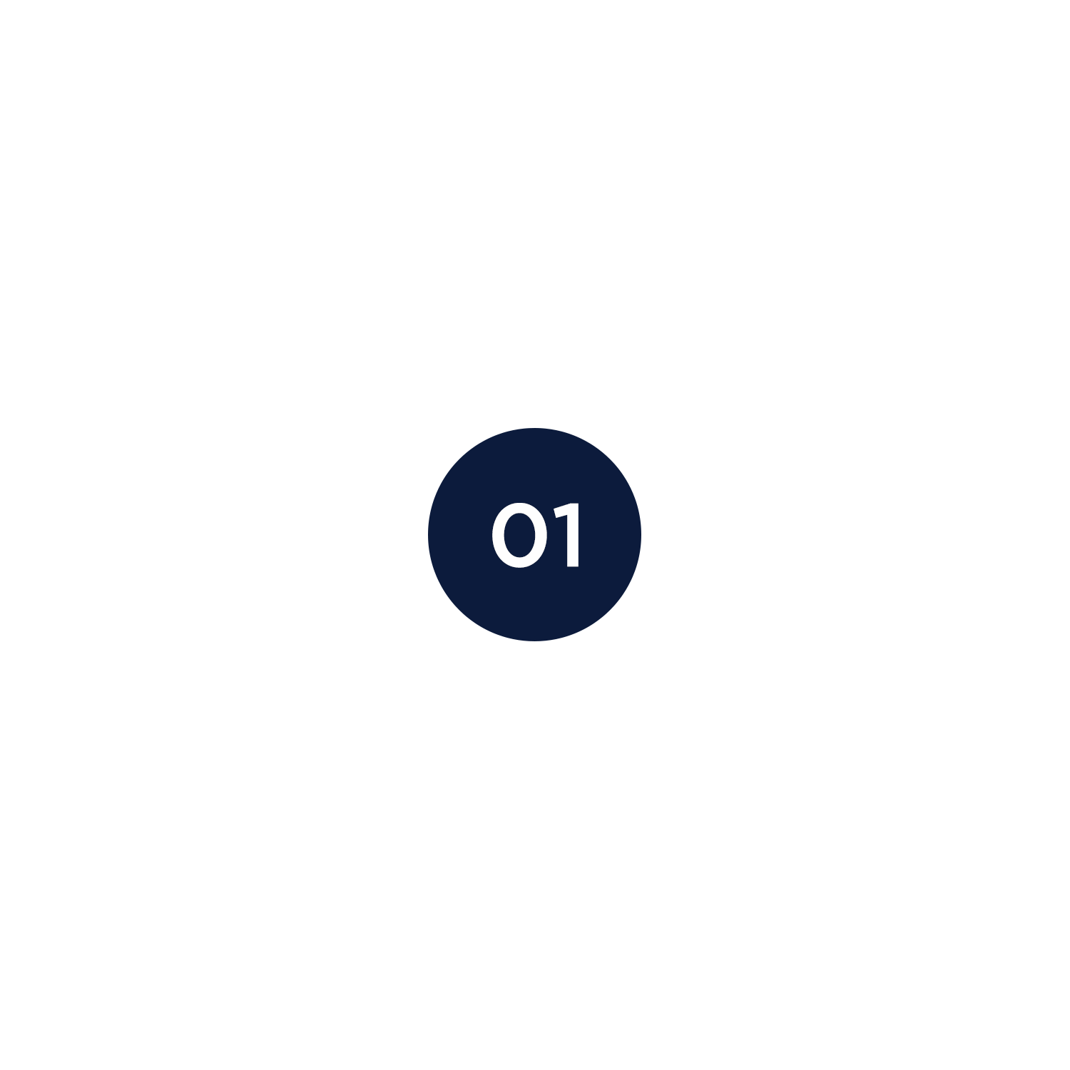 icon1